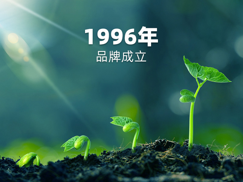 1996年品牌成立：PCB硬板制造征程，匠心傳承！