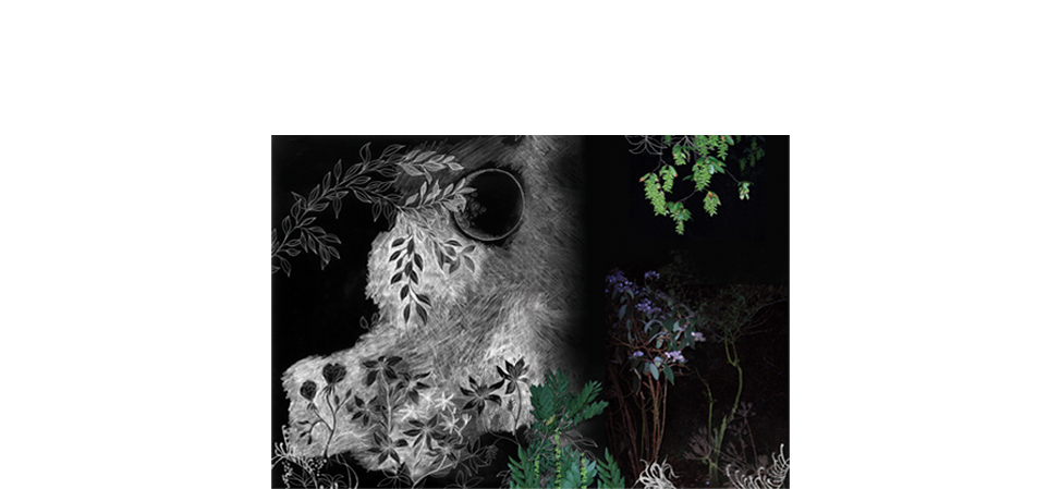 MOROSOTapestry 墻飾-掛毯