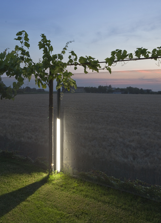 viabizzunounaghi路燈