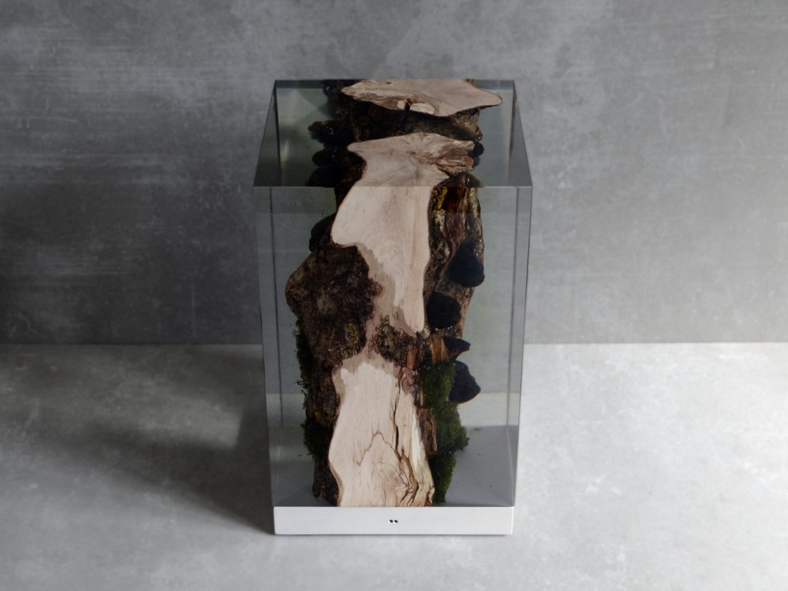 alcarolMOSS LAMP臺(tái)燈