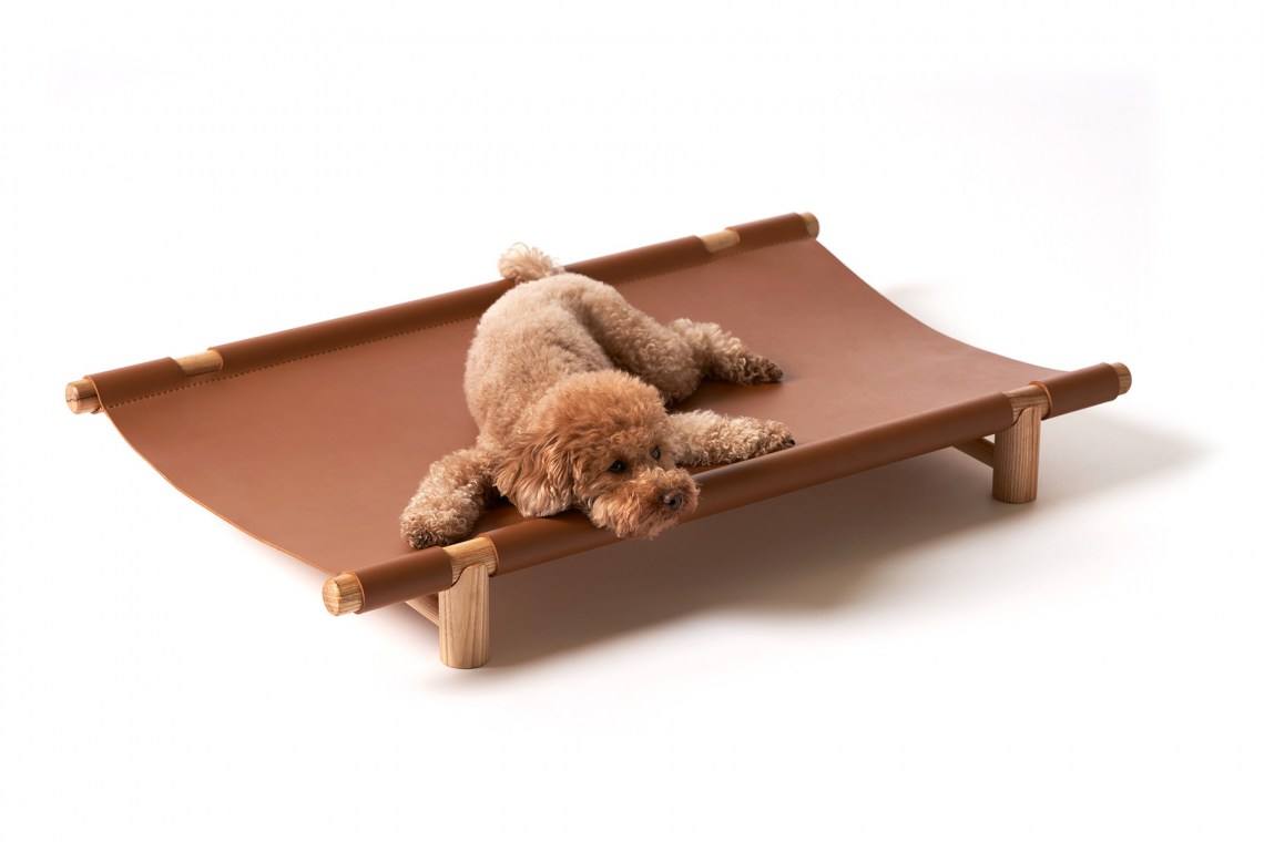 OPINION CIATTIBERBERe狗窩