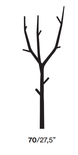 OPINION CIATTIRAMO衣架